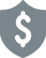 dollar sign shield icon