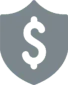 dollar sign shield icon